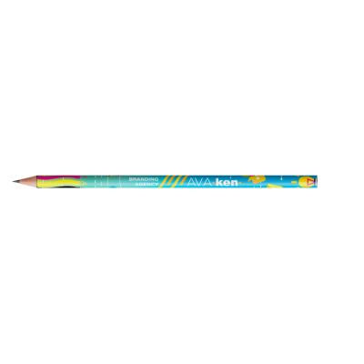 Image of BIC® Evolution Classic Cut End Ecolutions® Pencil